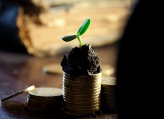 Plant shoot in small pot to illustrate income