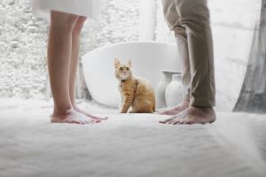 Ginger cat sitting on the floor between man and woman facing each other