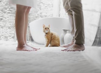 Ginger cat sitting on the floor between man and woman facing each other